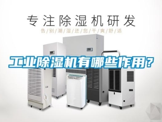 企業(yè)新聞工業(yè)除濕機有哪些作用？