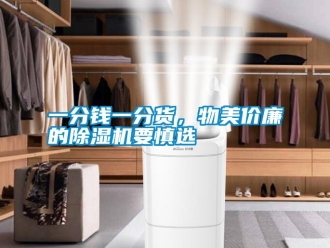 知識百科一分錢一分貨，物美價廉的除濕機要慎選