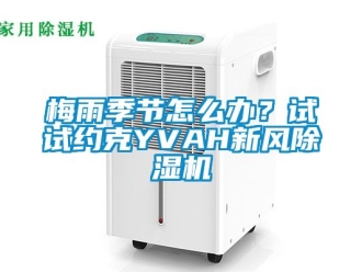 常見問題梅雨季節(jié)怎么辦？試試約克YVAH新風(fēng)除濕機(jī)