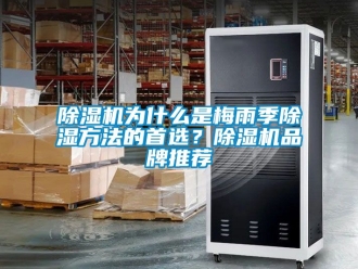 企業(yè)新聞除濕機為什么是梅雨季除濕方法的首選？除濕機品牌推薦