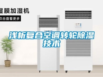 行業(yè)新聞淺析復合空調(diào)轉(zhuǎn)輪除濕技術