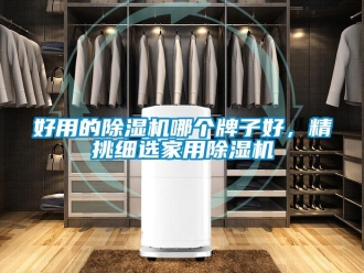 常見問題好用的除濕機(jī)哪個(gè)牌子好，精挑細(xì)選家用除濕機(jī)