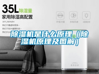 行業(yè)新聞除濕機(jī)是什么原理（除濕機(jī)原理及圖解）