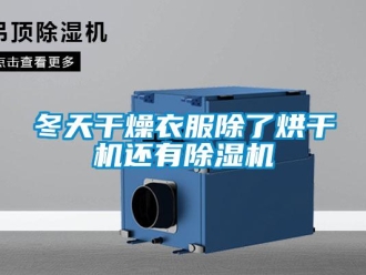 企業(yè)新聞冬天干燥衣服除了烘干機(jī)還有除濕機(jī)