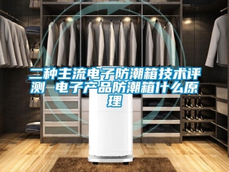 常見問題二種主流電子防潮箱技術(shù)評(píng)測(cè) 電子產(chǎn)品防潮箱什么原理