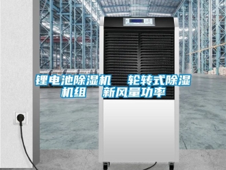 常見問題鋰電池除濕機  輪轉(zhuǎn)式除濕機組  新風(fēng)量功率