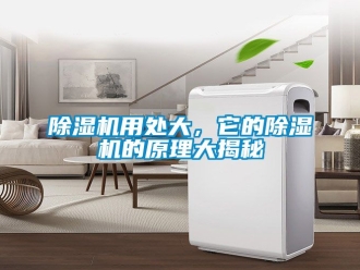 行業(yè)新聞除濕機用處大，它的除濕機的原理大揭秘