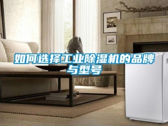 常見問題如何選擇工業(yè)除濕機的品牌與型號