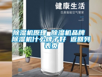 企業(yè)新聞除濕機(jī)原理 除濕機(jī)品牌 除濕機(jī)什么牌子好 返回列表頁