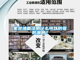 常見問(wèn)題家裝墻面漆用什么可以防霉防潮??？