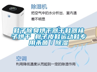 行業(yè)新聞鞋子除臭烘干器干鞋器襪子烘干 靴子皮鞋運(yùn)動(dòng)鞋專用殺菌／除濕