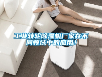 企業(yè)新聞工業(yè)轉(zhuǎn)輪除濕機(jī)廠家在不同領(lǐng)域中的應(yīng)用！