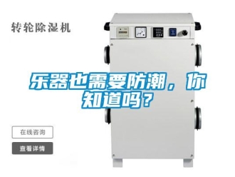 常見問題樂器也需要防潮，你知道嗎？