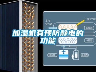 行業(yè)新聞加濕機(jī)有預(yù)防靜電的功能