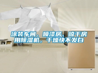 知識百科涂裝車間、噴漆房、晾干房用除濕機(jī)，干燥快不發(fā)白