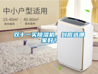 知識(shí)百科雙十一買除濕機(jī)，到底選哪家好？