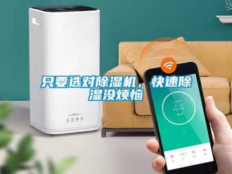 知識(shí)百科只要選對(duì)除濕機(jī)，快速除濕沒煩惱
