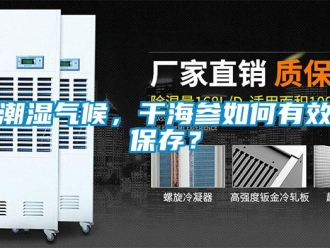 常見問題潮濕氣候，干海參如何有效保存？