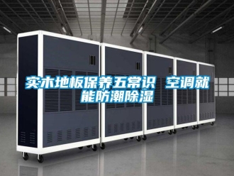 常見問題實木地板保養(yǎng)五常識 空調(diào)就能防潮除濕