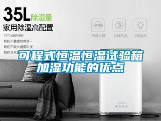 知識百科可程式恒溫恒濕試驗箱加濕功能的優(yōu)點