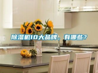 企業(yè)新聞除濕機(jī)10大品牌，有哪些？