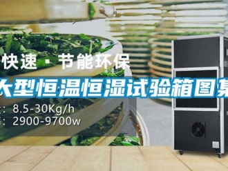 知識百科大型恒溫恒濕試驗箱圖集