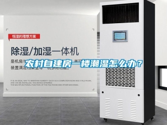 常見問題農(nóng)村自建房一樓潮濕怎么辦？