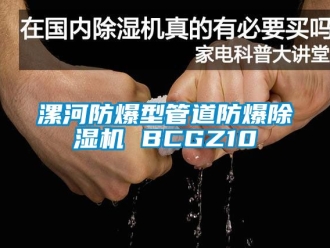 企業(yè)新聞漯河防爆型管道防爆除濕機(jī) BCGZ10