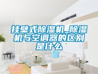 行業(yè)新聞掛壁式除濕機_除濕機與空調(diào)器的區(qū)別是什么