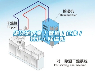 常見問(wèn)題湛江地下室／管道／倉(cāng)庫(kù)／轉(zhuǎn)輪／除濕機(jī)