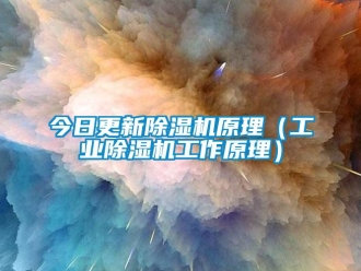 常見問題今日更新除濕機原理（工業(yè)除濕機工作原理）