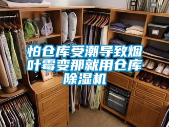 企業(yè)新聞怕倉(cāng)庫(kù)受潮導(dǎo)致煙葉霉變那就用倉(cāng)庫(kù)除濕機(jī)