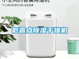 行業(yè)新聞低露點(diǎn)除濕干燥機(jī)