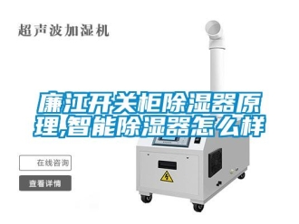 行業(yè)新聞廉江開(kāi)關(guān)柜除濕器原理,智能除濕器怎么樣