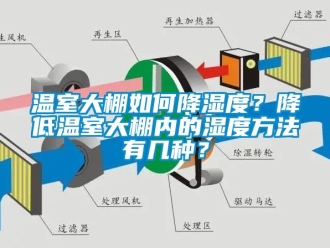 企業(yè)新聞溫室大棚如何降濕度？降低溫室大棚內(nèi)的濕度方法有幾種？