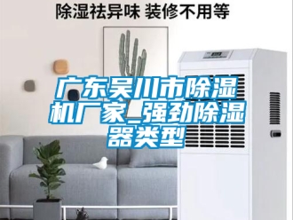 企業(yè)新聞廣東吳川市除濕機(jī)廠家_強(qiáng)勁除濕器類型