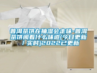 企業(yè)新聞普洱茶餅在抽濕會走味-普洱茶餅聞著什么味道(今日更新／實時)2022已更新