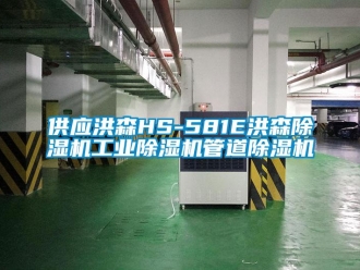 常見問題供應(yīng)洪森HS-581E洪森除濕機(jī)工業(yè)除濕機(jī)管道除濕機(jī)