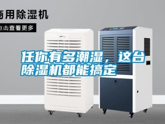 行業(yè)新聞任你有多潮濕，這臺(tái)除濕機(jī)都能搞定