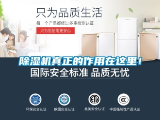 行業(yè)新聞除濕機真正的作用在這里！