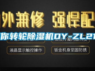 常見(jiàn)問(wèn)題迷你轉(zhuǎn)輪除濕機(jī)DY-ZL210