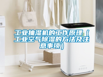 常見(jiàn)問(wèn)題工業(yè)抽濕機(jī)的工作原理（工業(yè)空氣除濕的方法及注意事項(xiàng)）