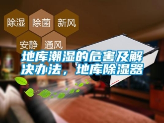 企業(yè)新聞地庫潮濕的危害及解決辦法，地庫除濕器