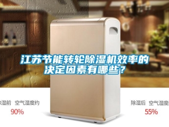 行業(yè)新聞江蘇節(jié)能轉輪除濕機效率的決定因素有哪些？