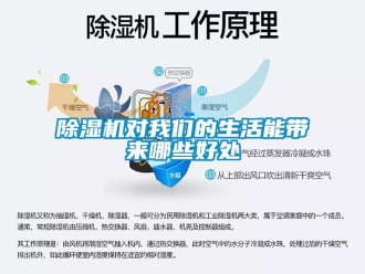 行業(yè)新聞除濕機對我們的生活能帶來哪些好處