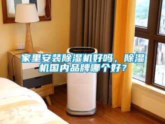 企業(yè)新聞家里安裝除濕機好嗎，除濕機國內(nèi)品牌哪個好？