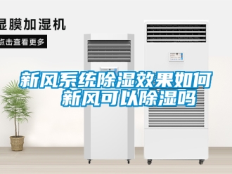 行業(yè)新聞新風(fēng)系統(tǒng)除濕效果如何  新風(fēng)可以除濕嗎