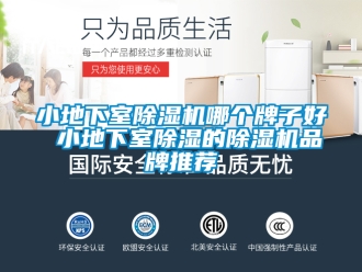 企業(yè)新聞小地下室除濕機(jī)哪個牌子好 小地下室除濕的除濕機(jī)品牌推薦