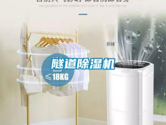 知識百科隧道除濕機