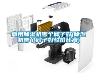 常見問題商用除濕機哪個牌子好(除濕機哪個牌子好性價比高)